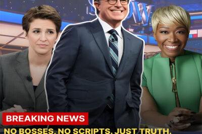 NO BOSSES. NO SCRIPTS. JUST TRUTH. — Rachel Maddow, Stephen Colbert & Joy Reid Launch a Rogue Newsroom That’s Turning Cable Media Upside Down