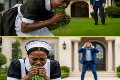 Billionaire Finds His Maid Eating Grass in the Garden, and the Reason Makes Him Cry A billionaire was stunned to find his maid eating grass in his garden