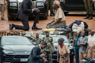 The woman ADOPTED A DYING HOMELESS BOY—YEARS LATER HE RETURNED AS A BILLIONAIRE.