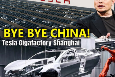 The world just got a glimpse inside Tesla’s jaw-dropping new factory — and what’s happening there is almost unbelievable. With machines so advanced they’re being compared to something out of science fiction, the plant is reportedly churning out a brand-new car every 40 seconds. But how is this even possible — and what secret breakthrough did Elon Musk’s team uncover to make it a reality?