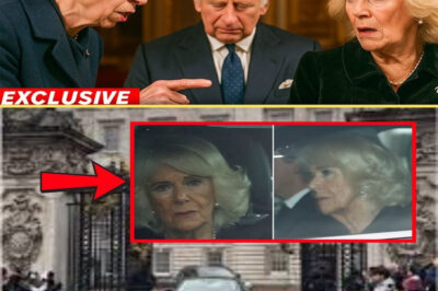 Queen Camilla’s Quiet Struggle at Royal Ascot Alongside King Charles Uncovered