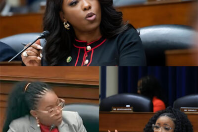 Rep. Jasmine Crockett Sounds Off! As far as I’m concerned, you’re randomly kidnapping folk and throwing them out of the country against their civil rights, against their constitutional rights. And frankly, how would they feel if some other country decided they were going to just start throwing people randomly in our country? That is absolutely insane. So yes, all I gotta say is y’all need to get these fools out of here.
