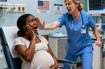 A racist nurse slapped and humiliated a pregnant Black woman, then called the police to have her arrested. Her husband arrived 15 minutes later — and everything changed…