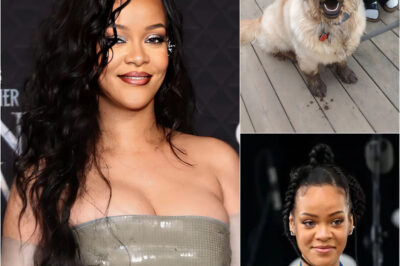 “GOOD NEWS: After 14 Long Years, Rihanna Just Experienced A Reunion No One Thought Possible — Her Beloved Dog Poppy, Missing Since Age 3, Suddenly Returned Home. The moment she opened the door, she froze — and then broke down in tears. But what truly stunned everyone wasn’t just Poppy’s return… it was **how** the loyal pup found her way back, and the emotional twist that left even Rihanna’s team speechless.”