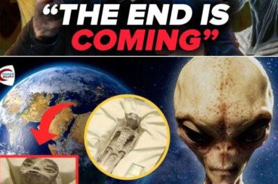 THE END IS NEAR: Elon Musk warns “THE END IS COMING” as cremated remains ALIEN beings are discovered on Earth – Their terrifying appearance leaves the whole world STUNNED! .