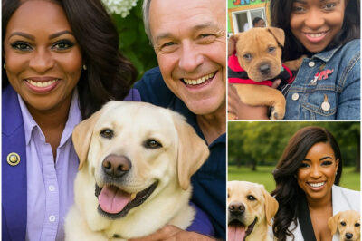 BREAKING NEWS: Jasmine Crockett sets the internet ablaze, announcing a £10 million investment to create a dream sanctuary for stray dogs and cats—promising to rescue thousands of abandoned animals and give them the love, care, and forever homes they’ve always deserved!