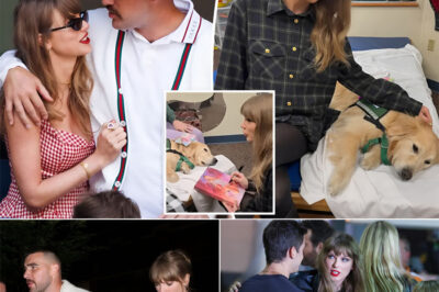 Travis Kelce and Taylor Swift Save a Failing Animal Shelter — But It’s the Hidden Envelope They Left Behind That Has Fans Wondering What’s Next