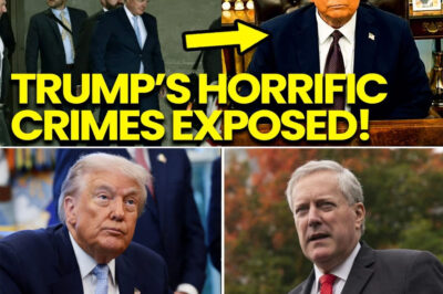 Capitol Hill ERUPTS as MARK MEADOWS “REVEALS” TRUMP’s HORRIFIC CRIMES — A Washington Scandal EXPLODES Into a Full-Blown Political Firestorm