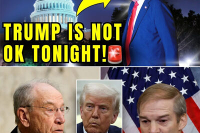 BREAKING SHOCK: NEW SENATE SPEAKER JUST BLINDSIDES DONALD TRUMP WITH “URGENT WARNING” ON HIS POWER AND FUTURE — DEM LEADER GOES OFF-SCRIPT, CALLS OUT SHUTDOWN ‘FAILURE’ AS ALLIES PANIC AND FANS CAN’T BELIEVE WHAT WAS SAID LIVE ON AIR