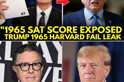 MIDNIGHT DRAMA: Trump RIDICULES Harvard Graduates — Colbert STRIKES BACK By Dropping His “1965 SAT RECORD” LIVE ON AIR, Sending the Studio Into CHAOS
