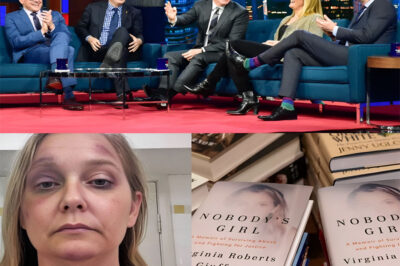 THE DAILY SHOW HAS TRANSFORMED FROM LATE-NIGHT COMEDY INTO A TRIBUNAL OF JUSTICE AND CONSCIENCE.