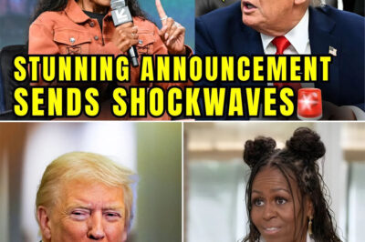 MICHELLE OBAMA DROPS PRESIDENTIAL BOMB ON STUNNED REPORTERS — “I’M IN!” AS DEM DYNASTY SECRETS SPILL IN 47 SECONDS OF CHAOS