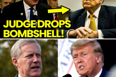 JUDGE PULLS BOMBSHELL MOVE MARK MEADOWS REVEALS T.R.U.M.P CRIMES — FORMER PRESIDENT EXPOSED IN COURTROOM CHAOS, INSIDERS CLAIM DEVASTATING EVIDENCE SPARKS IMMEDIATE ARREST