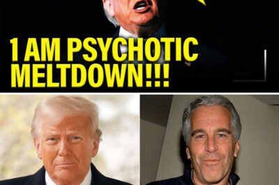 T.R.U.M.P CAN’T SLEEP AND GOES ON RAMPAGE as TERM COLLAPSES — PRESIDENT ERUPTS OVER EPSTEIN FILES & MEDIA MOCKERY, INSIDERS CLAIM CHAOS BEHIND CLOSED DOORS