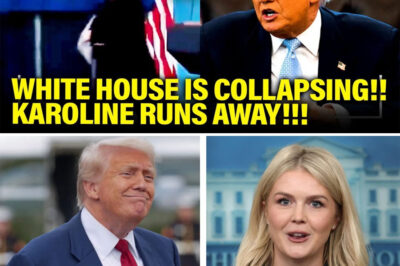 WHITE HOUSE MELTDOWN: KAROLINE LEVIT LIES, STORMS OFF STAGE — T.R.U.M.P ADMIN COLLAPSES IN CHAOS, ATTACKS REPORTERS & DEMOCRATS AMID G20 DRAMA AND EDUCATION SHUTDOWN SCANDAL