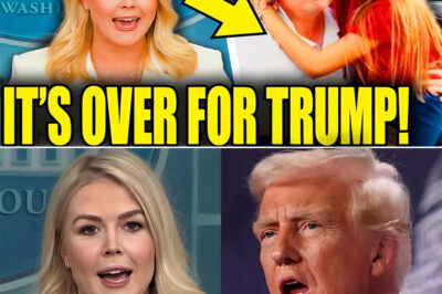 SHOCK EPSTEIN FIRESTORM: LEAVITT LOSES IT AS LEAKED TRUMP AIR FORCE ONE VIDEO IGNITES NEW QUESTIONS ABOUT “EPSTEIN EVIDENCE” — MAGA DAMAGE CONTROL COLLAPSES WHILE THE FULL CLIP EXPLODES ONLINE AND TURNS INTO A FULL-BLOWN POLITICAL SCANDAL