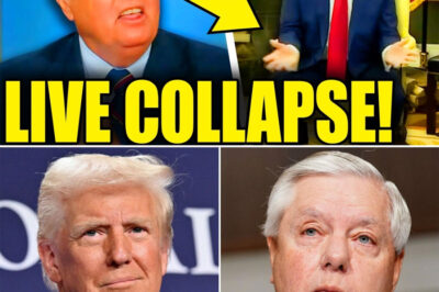 LINDSEY GRAHAM COLLAPSES ON LIVE TV AS TRUMP’S SECRET CRIME COVER-UP PLOT COSTS HIM $87 MILLION — Senator Sobs, Donors Flee, “I Destroyed Myself for Him” Confession Triggers Total Meltdown Mayhem!