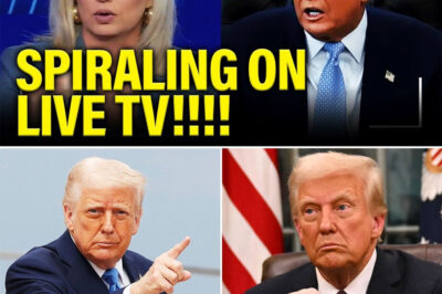 TRUMP JUST SOLD OUT EUROPE IN SHOCKING MIDNIGHT CALL WITH PUTIN — Secret Pact Exposed, NATO Allies Stabbed in Back as “New World Order” Deal Sends Global Panic into Overdrive!