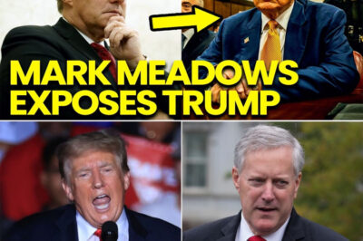 COURT ERUPTS: MARK MEADOWS BETRAYS TRUMP WITH DEVASTATING TESTIMONY — INSIDER RECEIPTS, SECRET RECORDS & A SHOCKING FLIP THAT SENDS THE TRUMP TEAM INTO FULL MELTDOWN