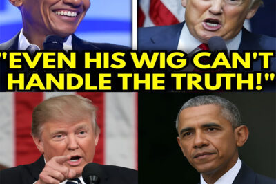 B.A.R.A.C.K O.B.A.M.A ROASTS D.O.N.A.L.D T.R.U.M.P AS HIS WIG LIFTS ON LIVE TV — Crowd ERUPTS In Uncontrollable Laughter As The Broadcast SPIRALS Into Chaos