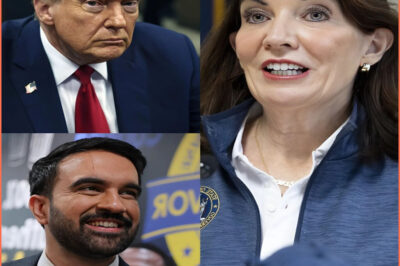 Kathy Hochul issued a bold warning to Trump: “I don’t care if you’re the President of the United States or not – if you dare attack Zohran Mamdani or any of our neighbors, you will wage war on 20 million New Yorkers, starting with me” – Immediately after she regretted it, Trump made the decision that she would have to…