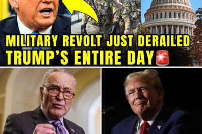 BREAKING FURY: SENATE DEMOCRATS JUST STUNNED TRUMP WITH “MILITARY REVOLT” WARNING — SHOCK VIDEO CALLS OUT ILLEGAL ORDERS, IGNITES WASHINGTON FIRESTORM, AND SENDS THE WHITE HOUSE INTO FULL-BLOWN PANIC MODE
