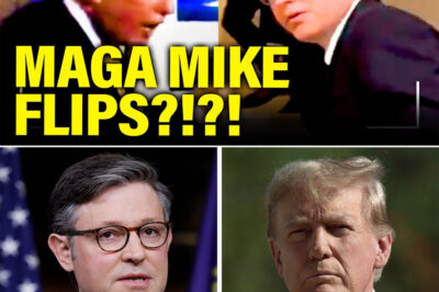 TOTAL MELTDOWN IN MAGA WORLD: TRUMP IN TERROR AS ‘MAGA MIKE’ JOHNSON FLIPS ON EPSTEIN FILES — HUMILIATING REVOLT IN CONGRESS EXPOSES CRACKS IN HIS CULT-LIKE CONTROL AND IGNITES A REPUBLICAN CIVIL WAR ON LIVE TV