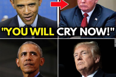 BREAKING: Trump MOCKS Obama’s Harvard Law Degree — Barack’s LIVE TV Reply STUNS the Press and Sends the Studio Into TOTAL CHAOS