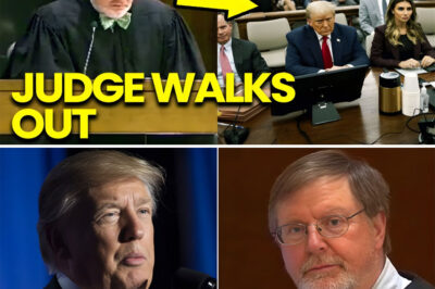 SH0CK IN FEDERAL COURT: JUDGE WALKS OUT AS T.R.U.M.P LAWYERS INSULT THE CONSTITUTION — DRAMA ERUPTS AS THE ENTIRE COURTROOM FREEZES IN STUNNED SILENCE