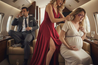 Mistress Pulled His Pregnant Wife’s Hair on a Jet, But His Billionaire Brother Made Them Regret It!