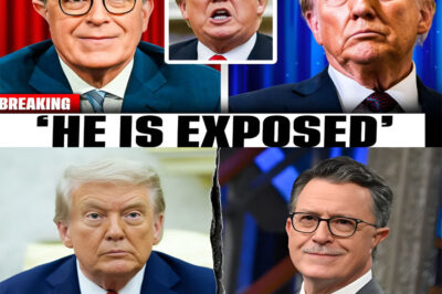 T.r.u.m.p ERUPTS As SUPREME COURT CORNERS Him With a BOMBSHELL DECISION — The Tense Legal Showdown That Has D.C. in TOTAL PANIC