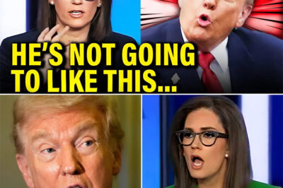 BREAKING NEW : T.R.U.M.P CRASHES & BURNS AS F.O.X NEWS DROPS FULL EPSTEIN RECEIPTS LIVE ON AIR — FLIGHT LOGS, BLACK BOOK PAGES, MAR-A-LAGO PARTY PIX EXPLODE, M.A.G.A EMPIRE IMPLODES IN ULTIMATE KNIFE-TWIST SCANDAL OVERNIGHT