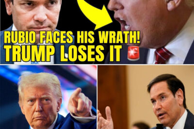 BREAKING NEW: T.R.U.M.P FALLS HOOK, LINE & SINKER FOR RUSSIAN PROPAGANDA… AGAIN — KREMLIN DISINFO GOES VIRAL FROM MAR-A-LAGO, INTEL AGENCIES SOUND ALARM AS P.U.T.I.N LAUGHS, NATIONAL SECURITY CRISIS EXPLODES OVERNIGHT