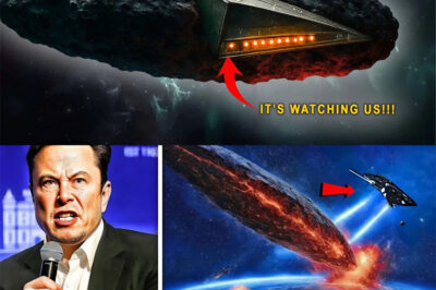 “We will destroy it!” – Elon Musk declares war-on a colossal alien object. The 31/Atlas ship has been activated.