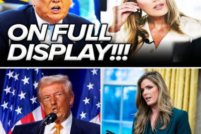 HALLIGAN CRUMBLES as JUDGES EXPOSE Her INCOMPETENCE — Acting US Attorney FUMBLES GRAND JURY Proceedings, Sparks Legal Scandal and Political Fallout