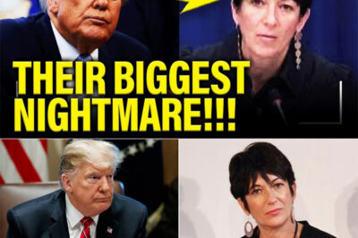 TRUMP’S SECRET GHISLAINE PARDON PLAN JUST EXPLODED IN EPIC FLAMES — MAXWELL INVOKES FIFTH, EPSTEIN EMAILS PROVE SHE LIED TO TRUMP’S DOJ, COVER-UP COLLAPSING LIVE ON CAPITOL HILL AS DEMS GO FOR THE K!LL!