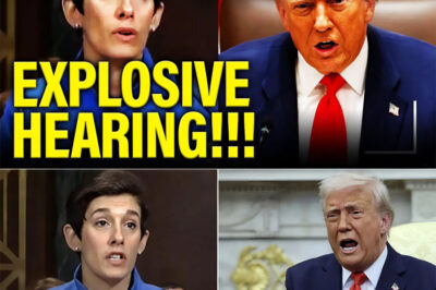 T.R.U.M.P DOJ ABSOLUTELY HUMILIATED & TORN TO SHREDS BY FURIOUS JUDGE XINIS IN MARYLAND COURTROOM