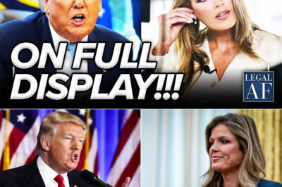 HALLIGAN COMPLETELY COLLAPSES as FEDERAL JUDGES RIP HER APART in OPEN COURT