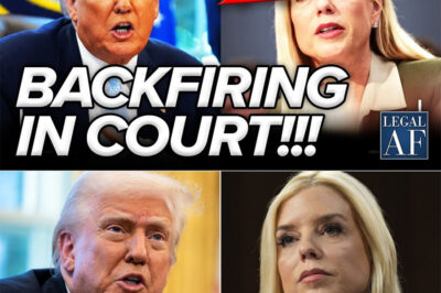 TRUMP LOSES HIS MIND as HIS HAND-PICKED DOJ IMPLODES IN COURT and GETS HUMILIATED AGAIN — Total MELTDOWN in Federal Court, Judges SLAMMING Trump’s “Loyalty Over Law” Clowns Left and Right!