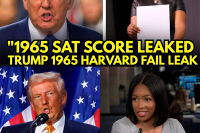 T.r.u.m.p Mocked Harvard Grads—Jasmine “Releases” His 1965 SAT Card on Live TV