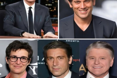 .We’re Done Being Puppets — It’s Time to Burn the Script!” David Muir, Rachel Maddow & Jimmy Kimmel just shook the media world. They ditched multimillion-dollar deals and launched The Real Room — a no-sponsors, no-filters, no-fear newsroom.