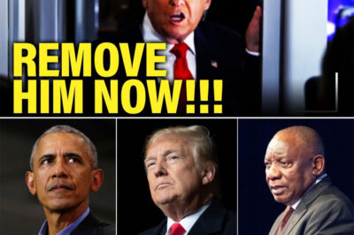 BREAKING: Trump SPIRALS As THANKSGIVING BLOWS UP IN HIS FACE — Former PRESIDENT’S Holiday MELTDOWN Sparks GLOBAL BACKLASH & Online FURY