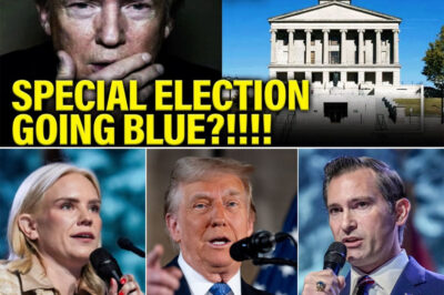 SHOCKING TENNESSEE ELECTION MELTDOWN: TRUMP AND GOP PANIC AS “SAFE” RED DISTRICT STARTS TURNING BLUE — MAGA WARRIOR MATT VAN EPS STUMBLES, AFTON BANE SURGES, FARMERS REVOLT AND INTERNAL POLLS REPORT A BLUE TSUNAMI THREATENING TRUMP’S HOUSE MAJORITY DREAM