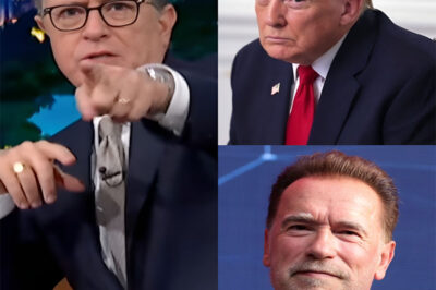 “THE TERMINATOR STRIKES BACK!” — America ERUPTS As Stephen Colbert And Arnold Schwarzenegger TEAM UP To EXPOSE T.r.u.m.p LIVE On TV In A Ruthless Takedown That Sent Mar-a-Lago Into FULL-BLOWN MELTDOWN