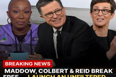 MEDIA UPRISING: Maddow, Colbert & Reid BREAK FREE — Launch an Unfiltered Newsroom That’s Turning Cable TV Upside Down