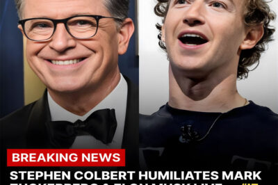 “THE NIGHT STEPHEN COLBERT SHUT DOWN BILLIONAIRE AMERICA”