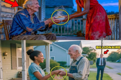 KIND WOMAN FED HER LONELY NEIGHBOR EVERY DAY — SHOCKED WHEN SHE READ THE LETTER HE LEFT AFTER HIS DEATH.