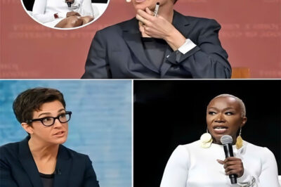 Rachel Maddow Shakes the Media World — Teams Up with Stephen Colbert & Joy Reid to Launch Bold “Rogue Newsroom” That Threatens Corporate Control