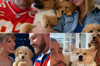 “No one expected it — not even the event organizers. In the middle of the spotlight, Taylor Swift and Travis Kelce turned a glamorous charity gala into a moment of pure heart. Their spontaneous *on-stage puppy adoption* had the audience cheering, but it’s what happened after the cameras stopped rolling that truly stole the show.”