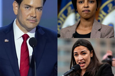 BREAKING NEWS: Marco Rubio ERUPTS During Senate Immigration Hearing — A 31-Second Silence, a Slammed Table, and the Line Now Being Called “A Declaration of War”…..